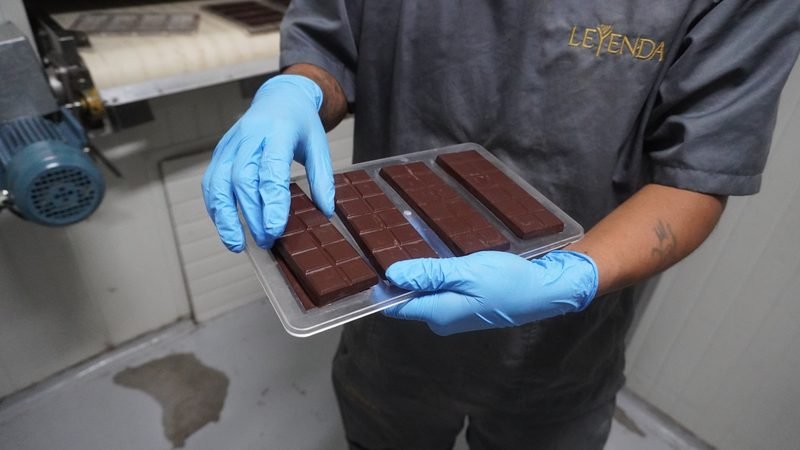 Manos con guantes sosteniendo una bandeja de barras de chocolate recién moldeadas