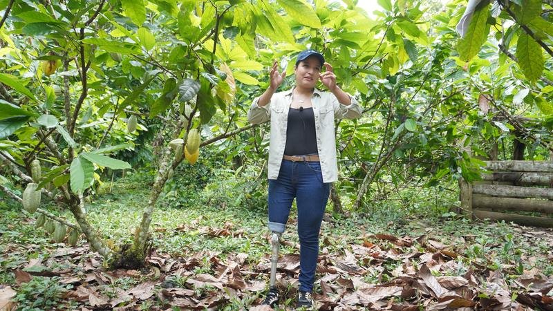 Mujer de pie entre árboles de cacao con mazorcas en los troncos